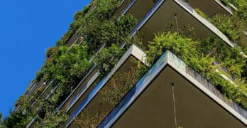 Begrünen von Dächern und Fassaden – so machen sie Ihr Haus grün!